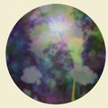 Nibiru — Photo