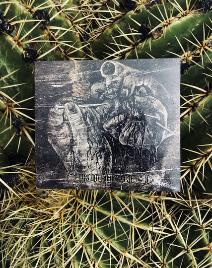 Suicide Forest | Suicide Forest