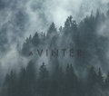 A Vinter image