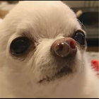 Ralucaaalinaaa thumbnail