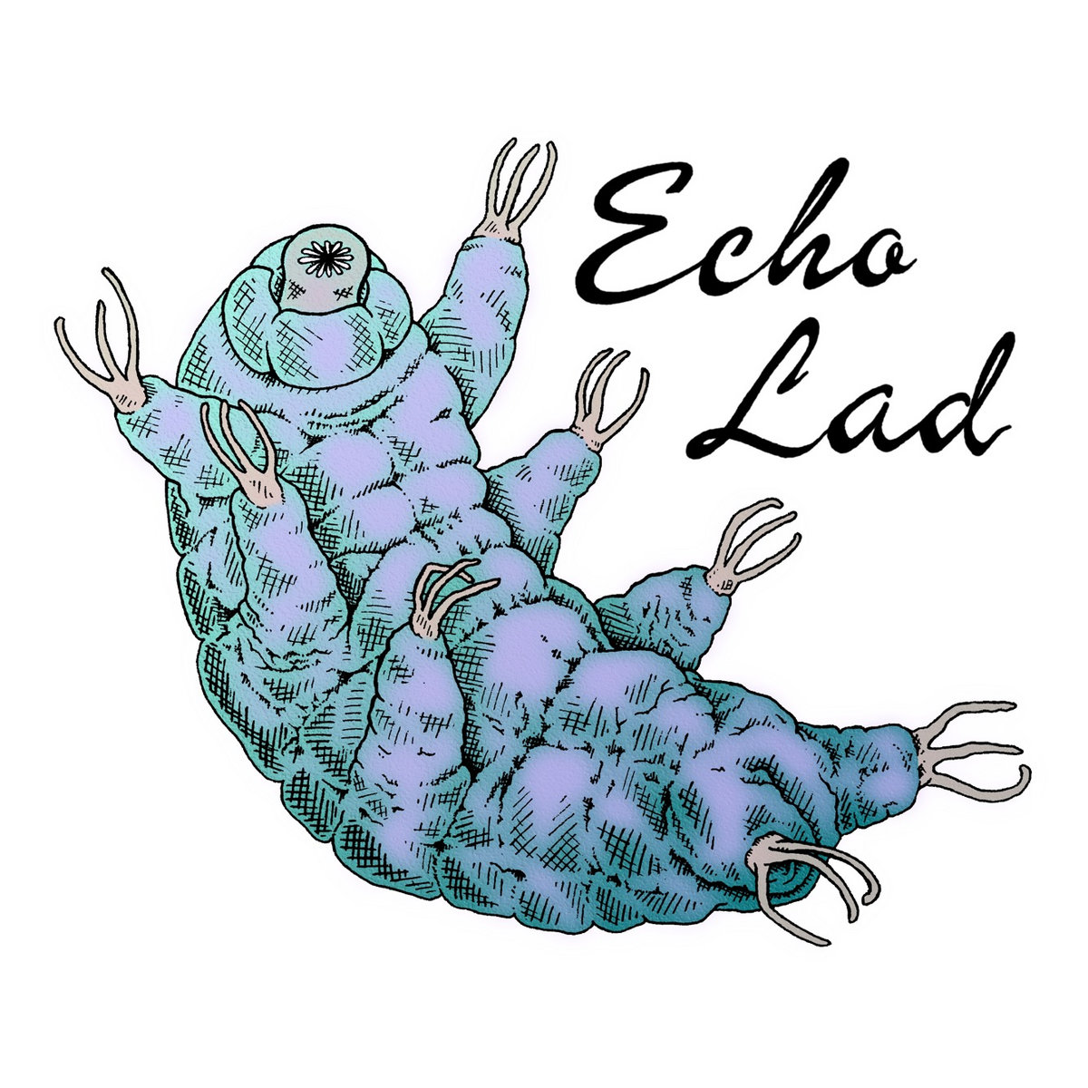Golang echo. Echo golang. echo go.