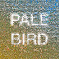 Pale Bird image