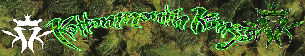 Kottonmouth Kings — Photo