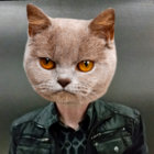 Robert thumbnail