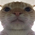 disgustingfatpig thumbnail