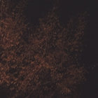 homepace thumbnail