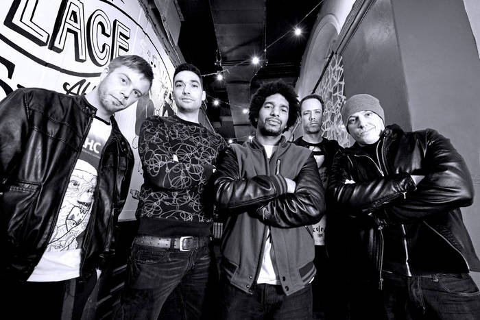 Music | The Qemists