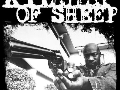 Killer of Sheep photo