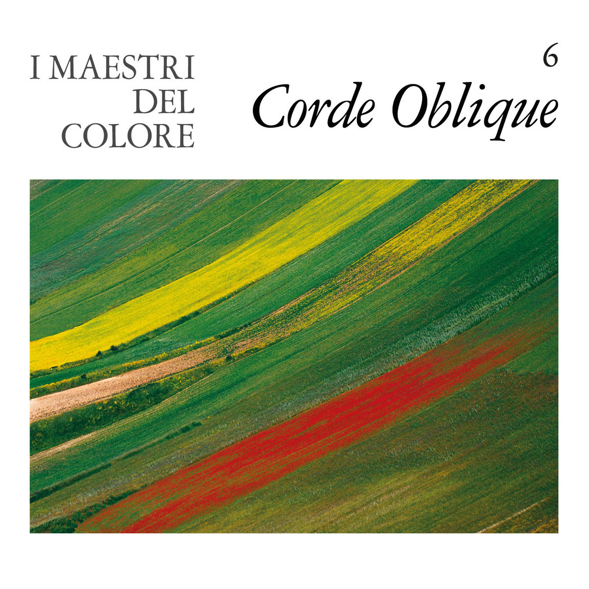 Corde Oblique ‎– I Maestri Del Colore | INFINITE FOG PRODUCTIONS