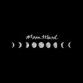 Moon Mood Records image