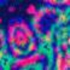 - thumbnail
