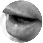 crackling thumbnail
