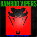BAMBOO VIPERS  image