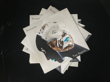 Limited Edition 12" Vinyl, image 2