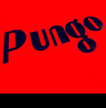 PUNGO image