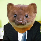 Votesforweasels thumbnail