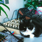 Cci35 thumbnail