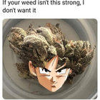 ainsofar thumbnail