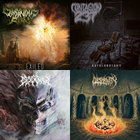 【ラプンツェル様用】DOMINATION CAMPAIGN / Onward Onward to Glory | Domination Campaign