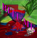 Bitume image