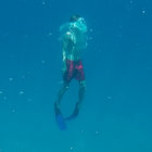 deepdivingdude thumbnail