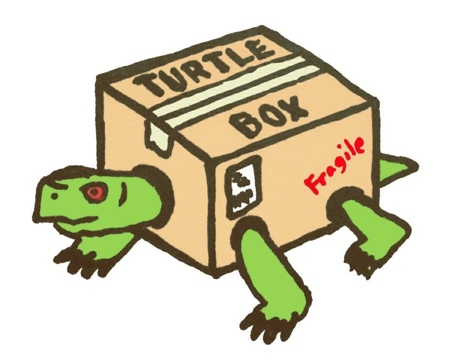 Music Turtle Box Distribution