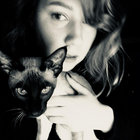 kettupolvi thumbnail