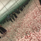 S/N Remastered 2023 VOL.1 FR-018-1 | dumb type | DJ LALA