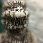 Rev. Veggie Spam thumbnail