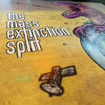 The Mass Extinction Split
