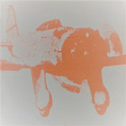 Scott Summerfield thumbnail