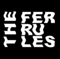 The Ferrules image