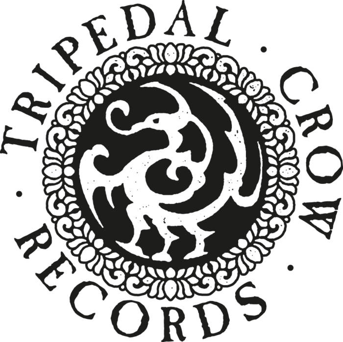 英LP Jahyu Center Of Gravity ASLP015 Steppas Records UK /00230 JahYu - Center Of Gravity | JahYu | Tripedal Crow Records