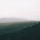 backpacker thumbnail