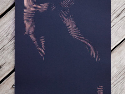 Silk-screened Poster - A3 (2 colors) main photo