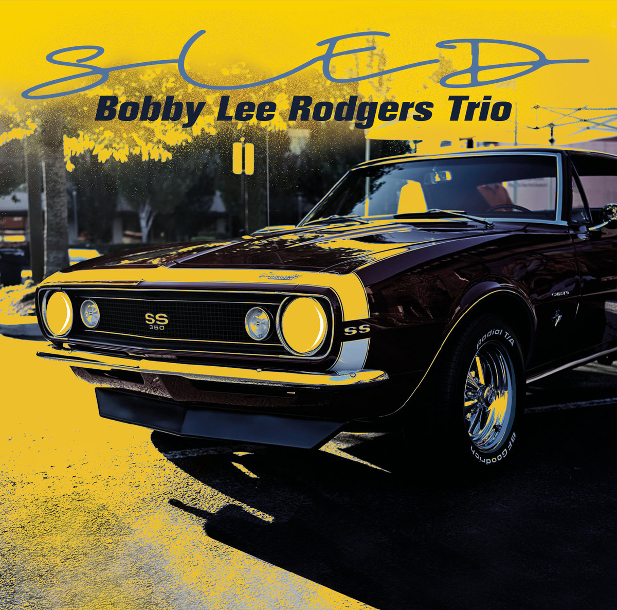 Sled | Bobby Lee Rodgers Trio | Long Song Records