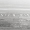 Silverswan image