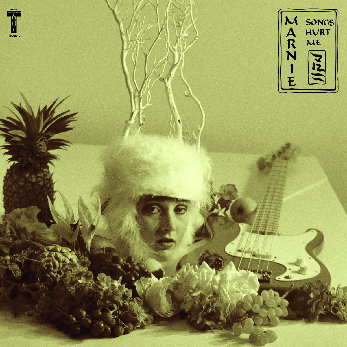 Songs Hurt Me Discos Transgénero