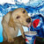 pepsi_pupper thumbnail