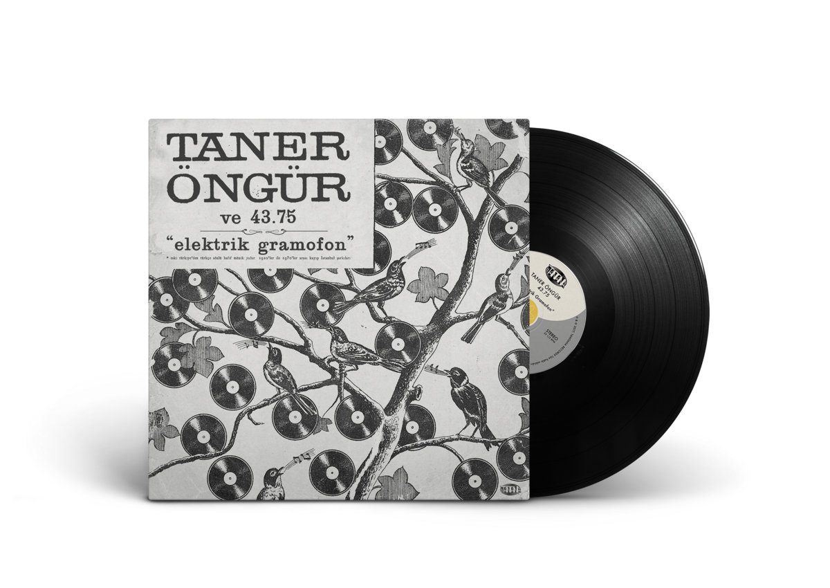 Zehra Taner Ongur Ve 43 75 Taner Ongur