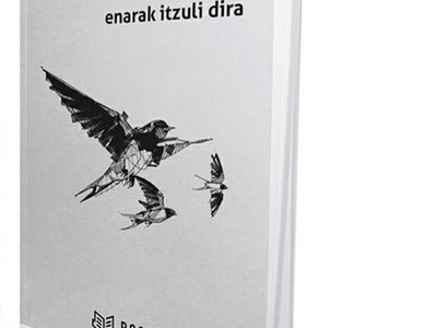 Enarak Itzuli Dira (Liburua/Book) main photo