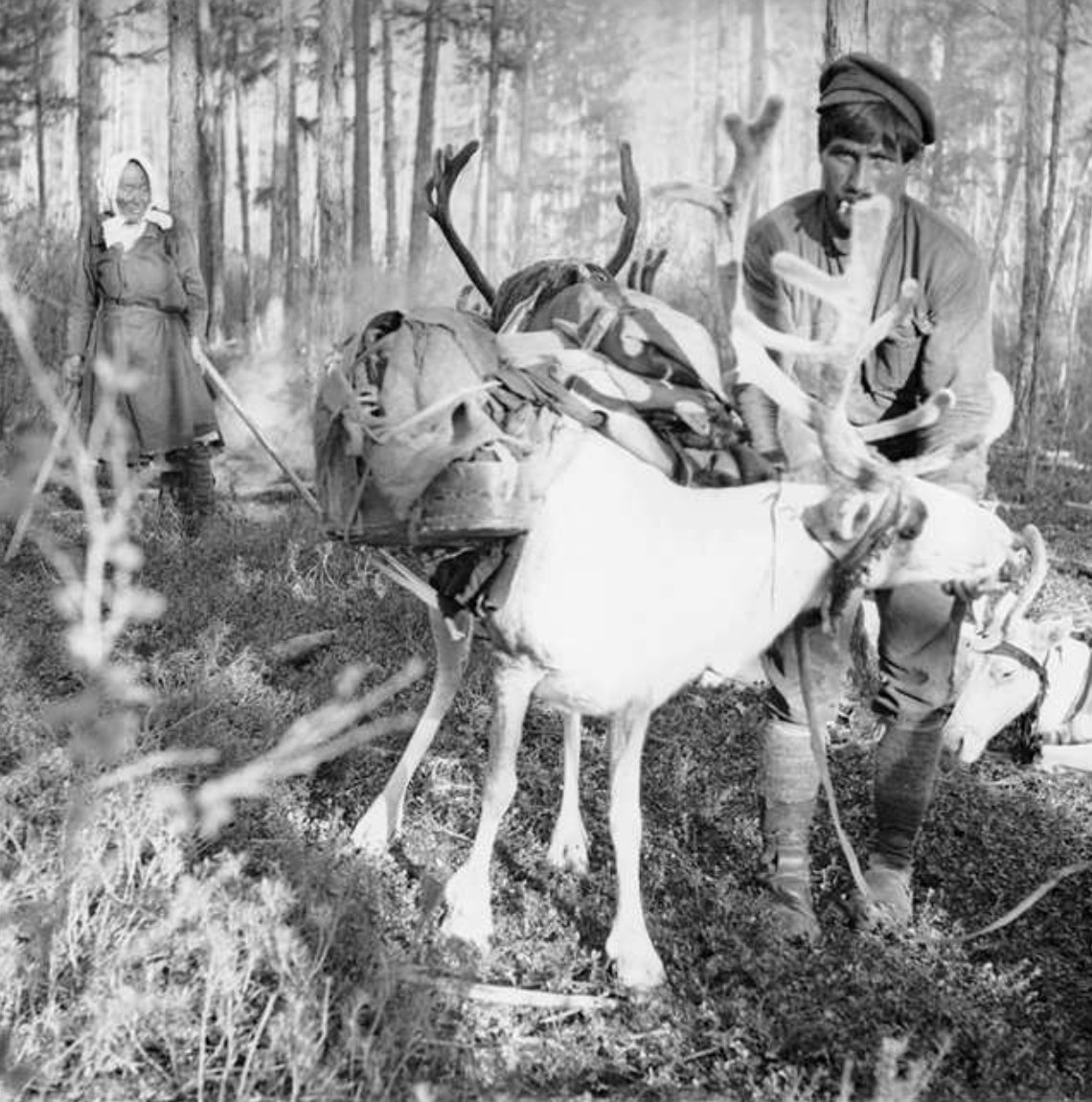 Indigenous Crates otapi