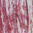 lakosd thumbnail