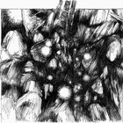cholla thumbnail