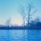 pleiotrope thumbnail