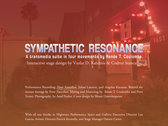 Sympathetic Resonance Performance Documentary photo 