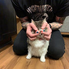 Forest Taylor thumbnail