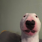 bandwidthwaster thumbnail
