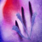eband thumbnail