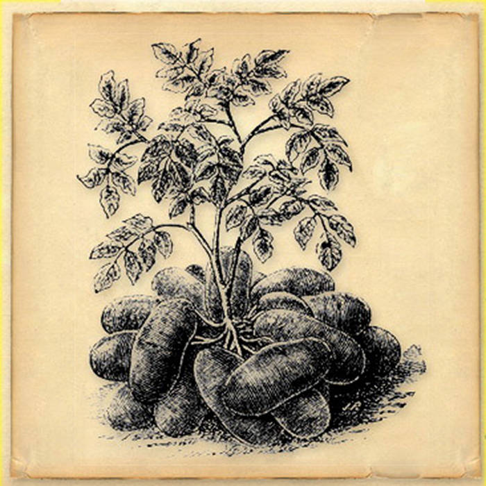 Hot Power (single version) Moon Attendant Big Potato Records